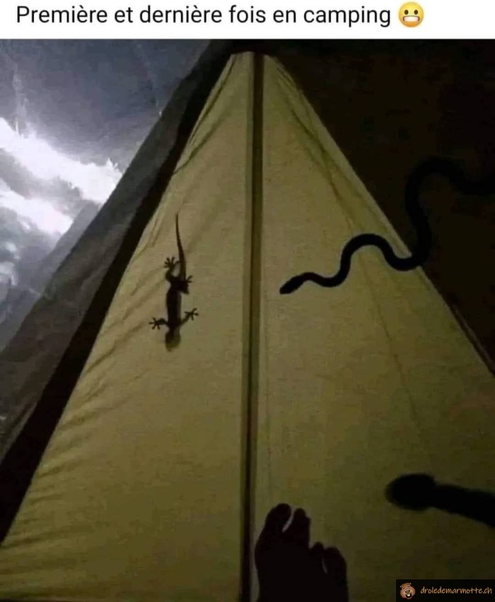 Première et dernière fois en camping