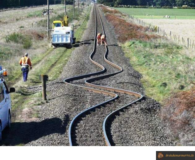 Prendre une chicane en train