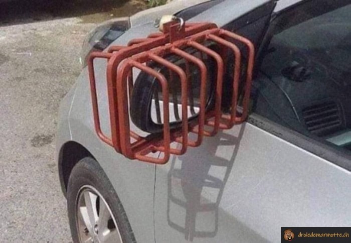Protection retroviseur