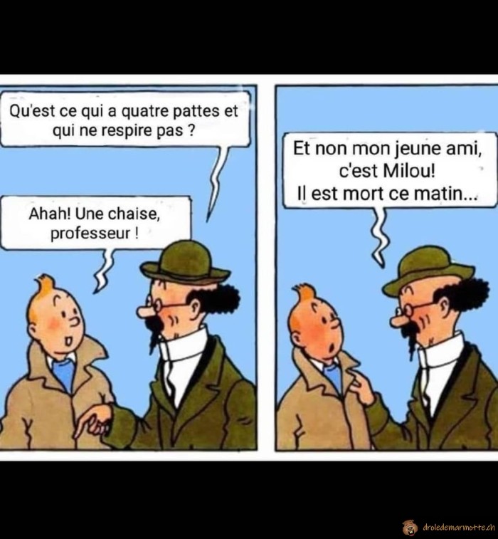 Qu'est-ce qui a 4 pattes et qui ne respire pas