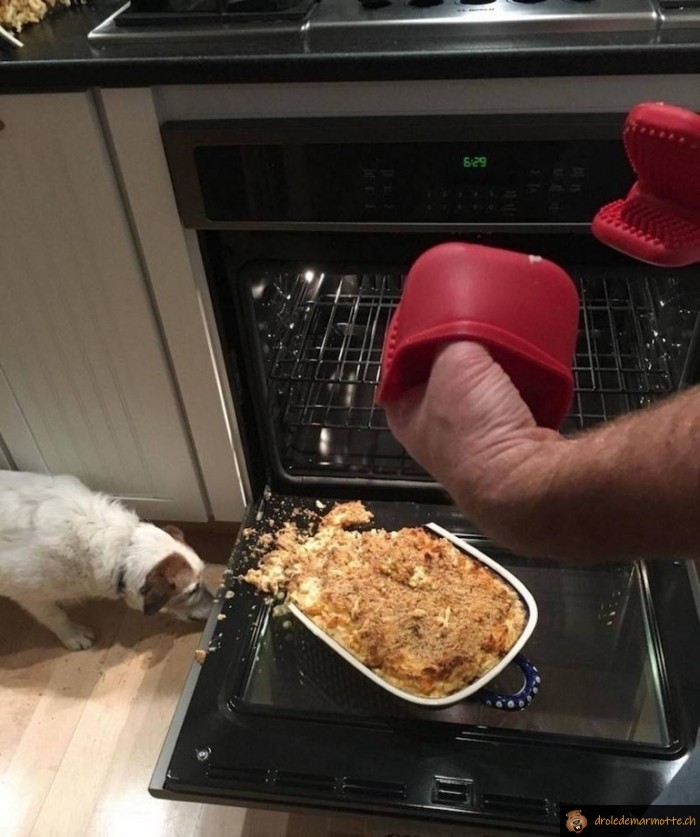 Quand le plat lache en sortant du four