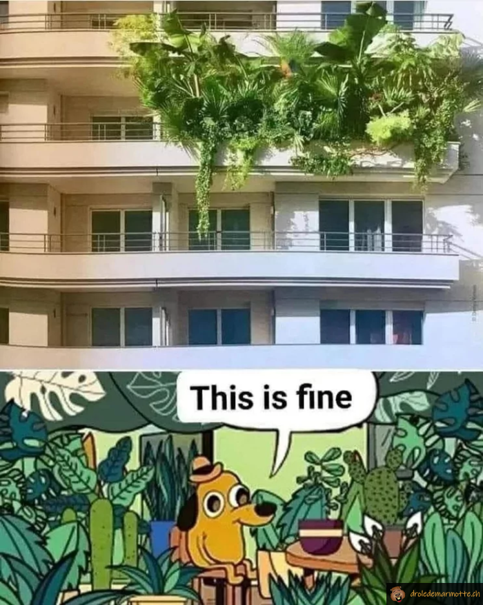 Quand tu aimes un peu trop les plantes