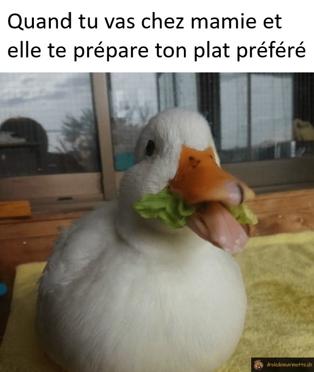 Quand tu vas chez mamie