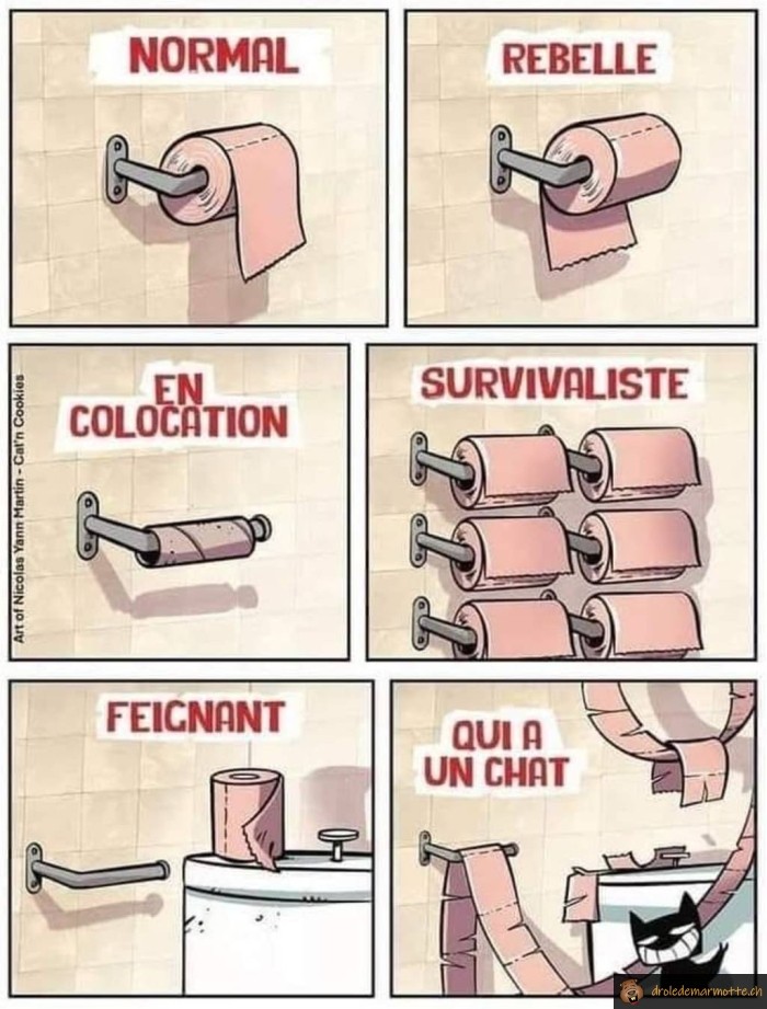 Qui es tu grâce à ton pq?