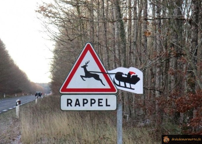 Rappel cerf volant