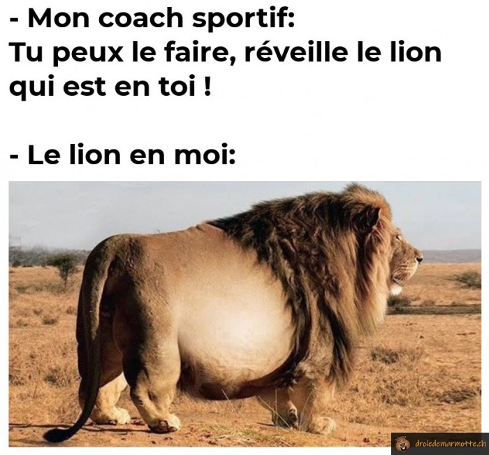 Reveille le lion qui est en toi