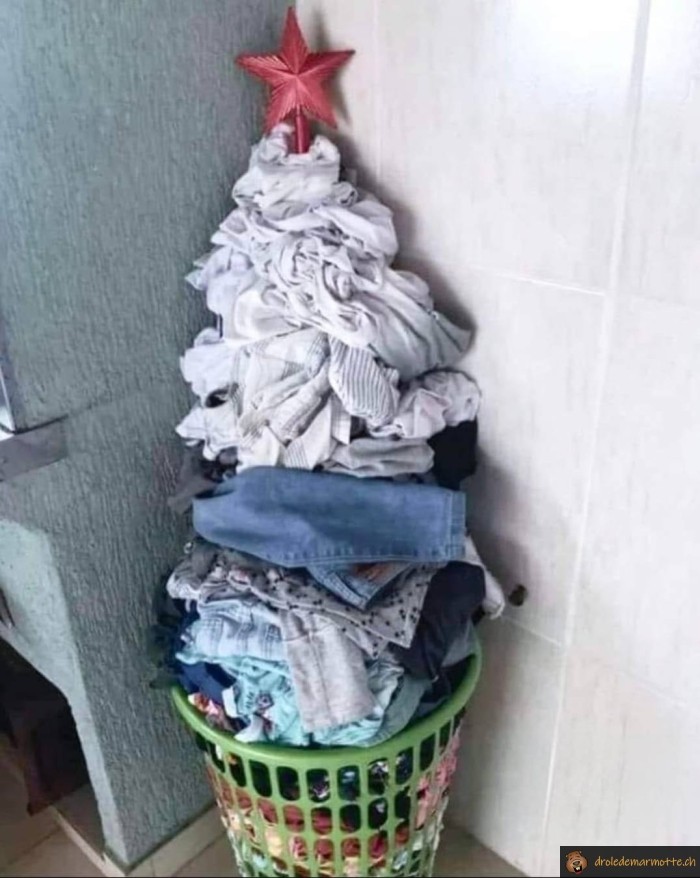 Sapin de linge sale
