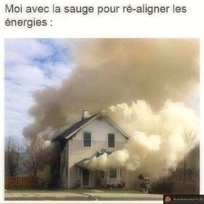 Sauge pour réaligner les énergies