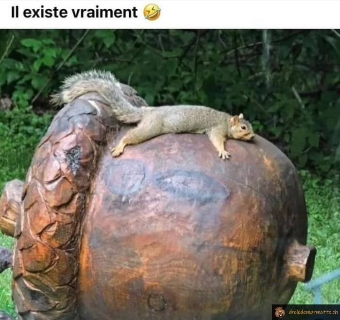 Scrat existe vraiment