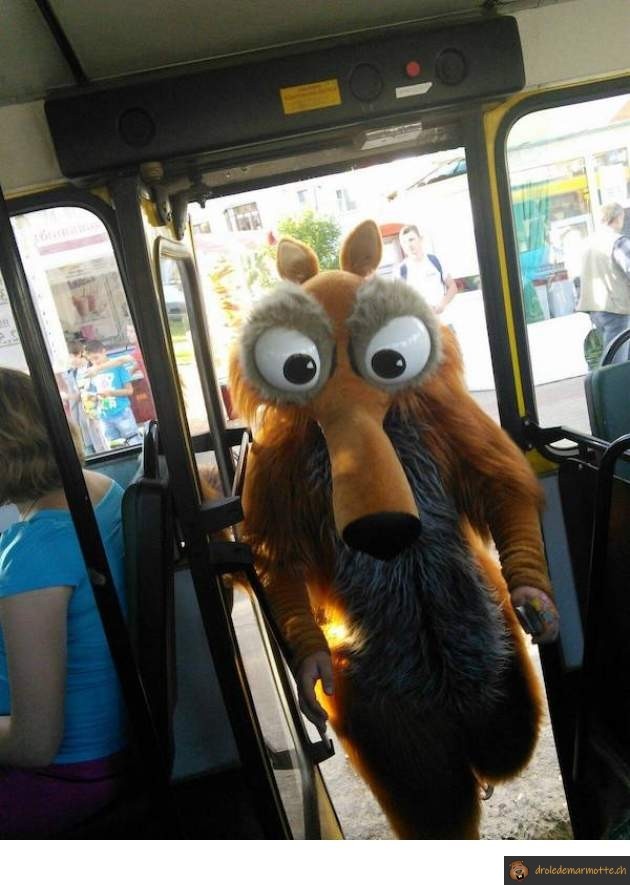 Scrat flippant