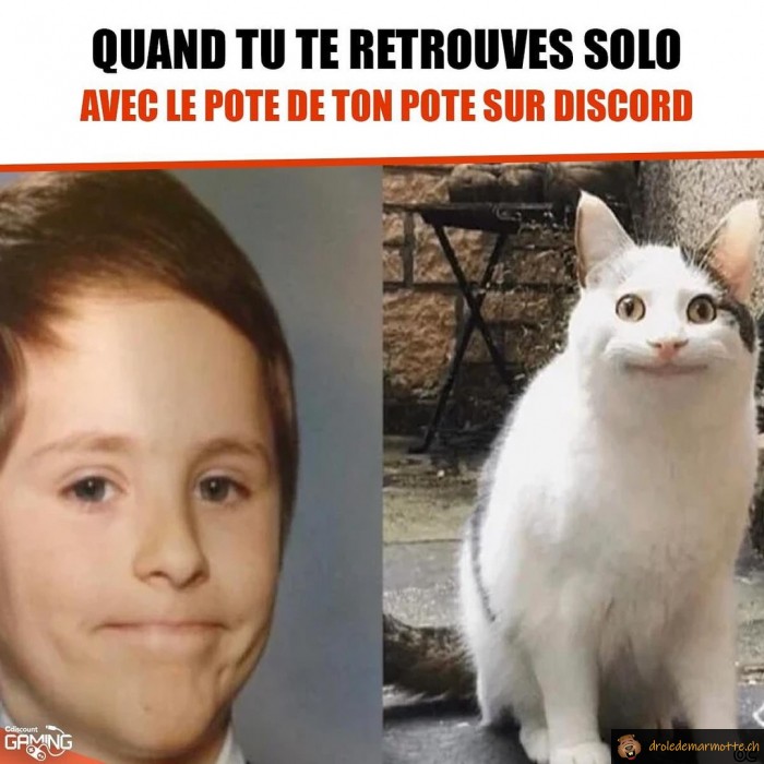Solo sur Discord