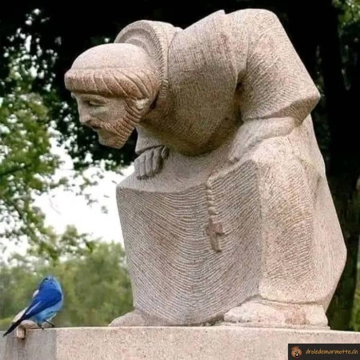 Statue regarde oiseau