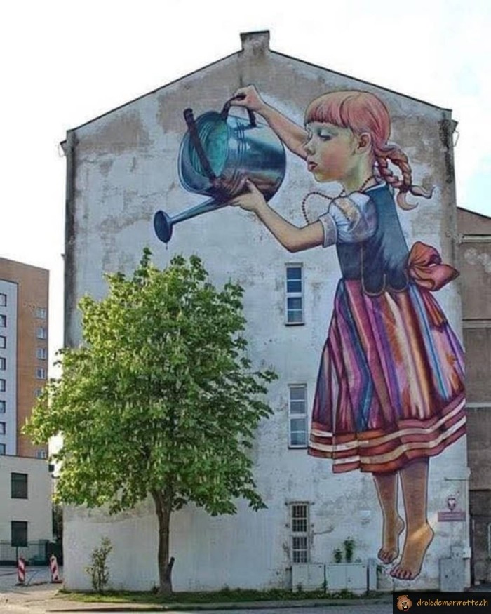 Street art arrosage arbre