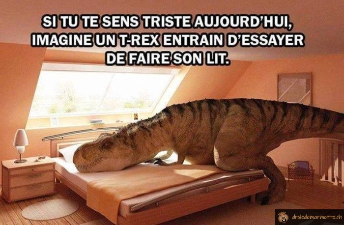 T-rex fait son lit