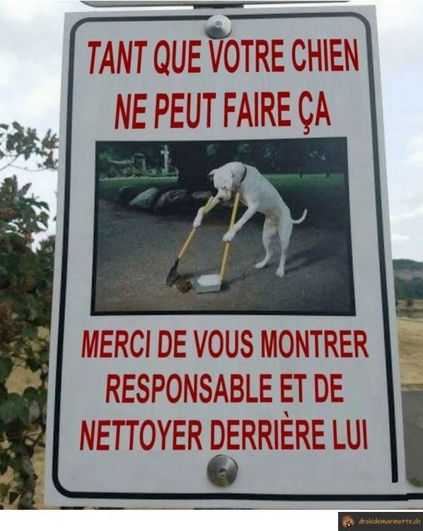 Tant que votre chien ne peut faire ça
