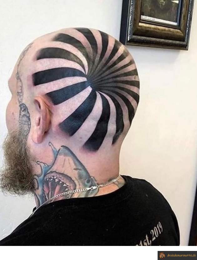 Tattoo crane illusion optique