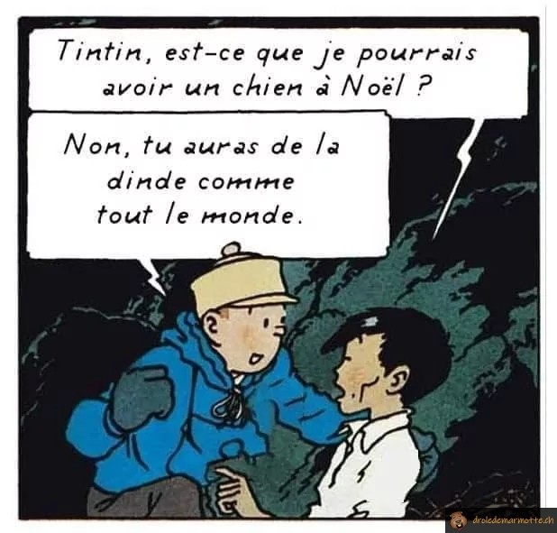 Tintin chien à Noël