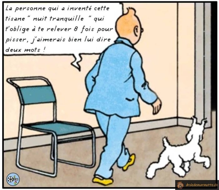 Tintin tisane nuit tranquille