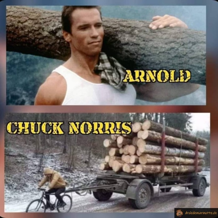 Transport bois Arnold vs Chuck