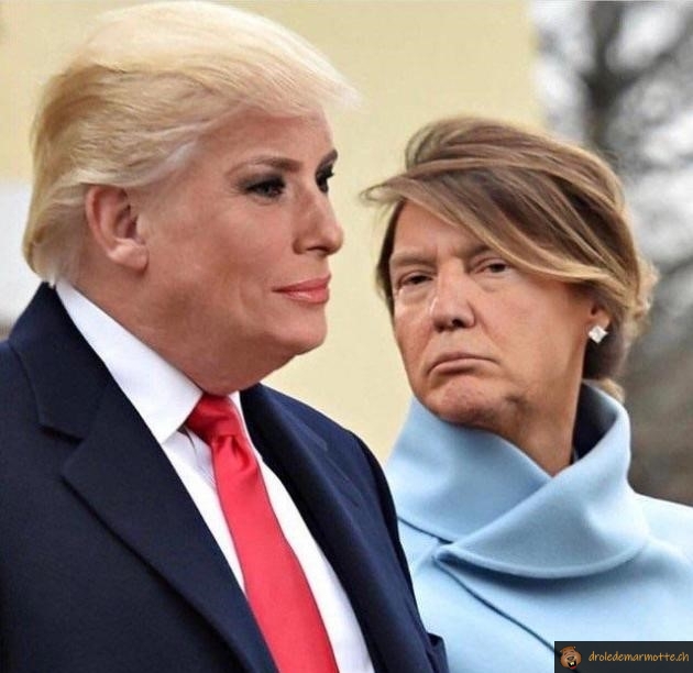 Trump faceswap reussi