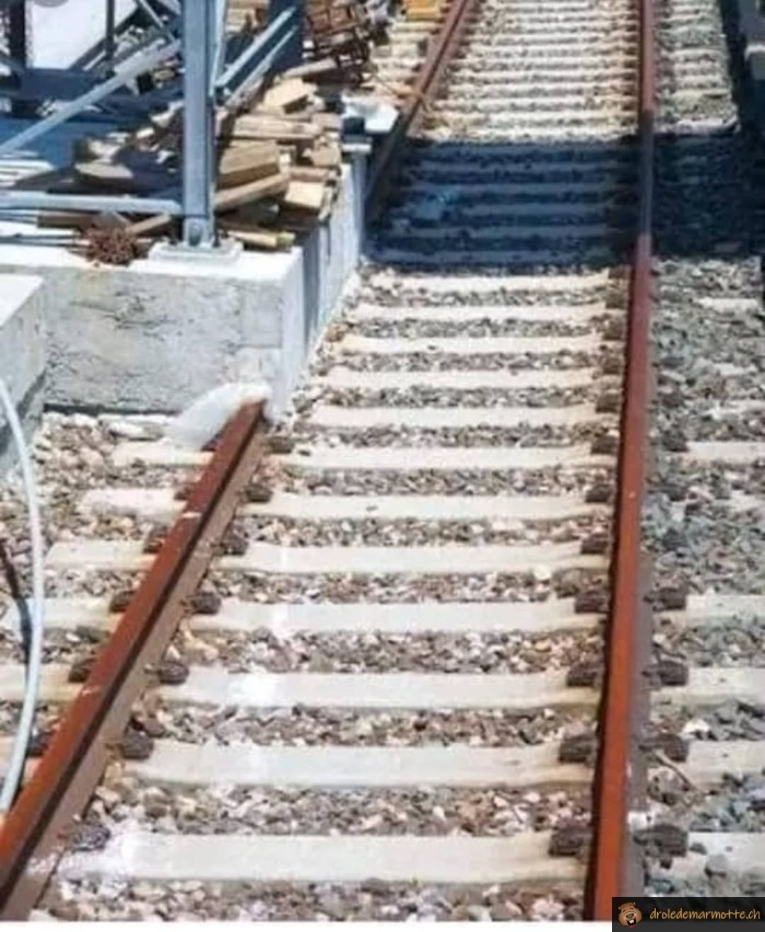Tu as pensé au train?