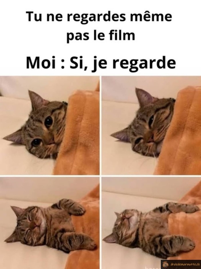 Tu ne regardes pas le film