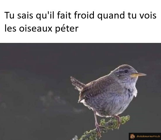 Tu sais qu'il fait froid quand