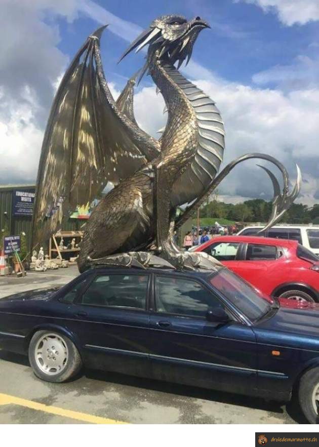 Tuning voiture dragon