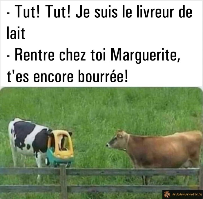 Tut tut livreur de lait