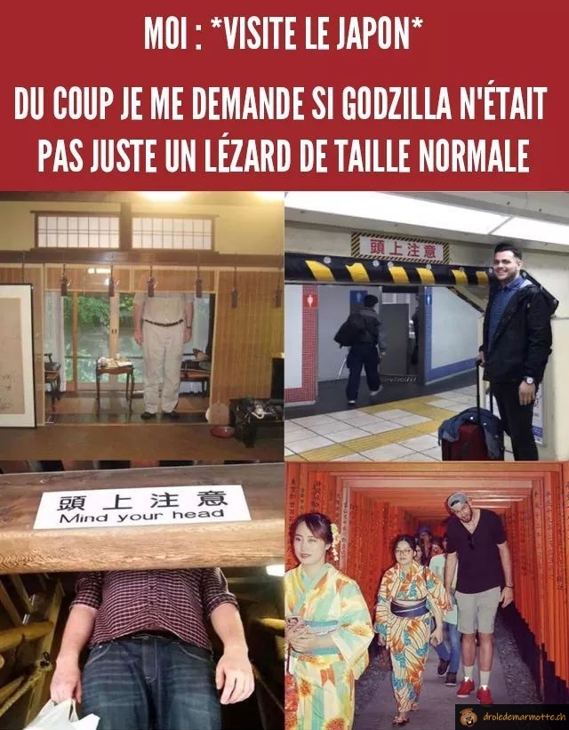 Visiter le Japon quand tu es grand