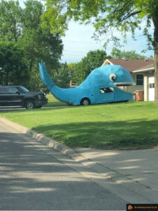 Voiture baleine