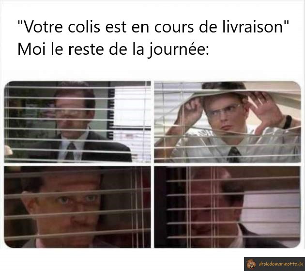 Votre colis est en cours de livraison