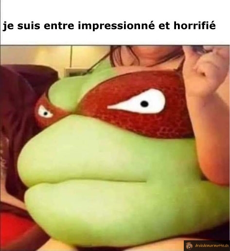 Vous êtes impressionné ou horrifié?