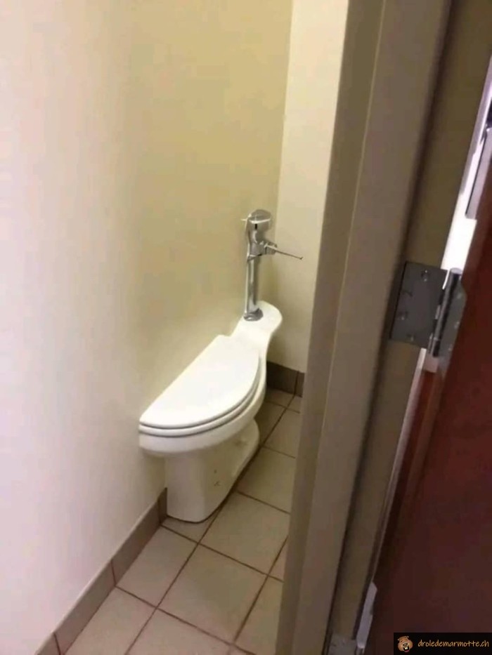Wc divisé