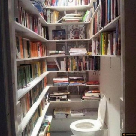 Amateur de lecture au wc