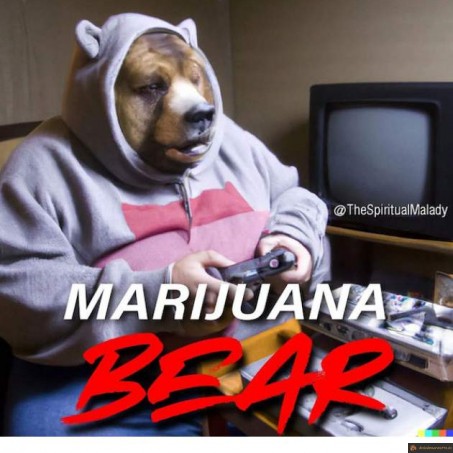Après cocaine bear
