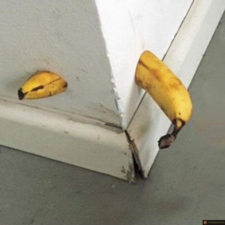 banane dans le mur
