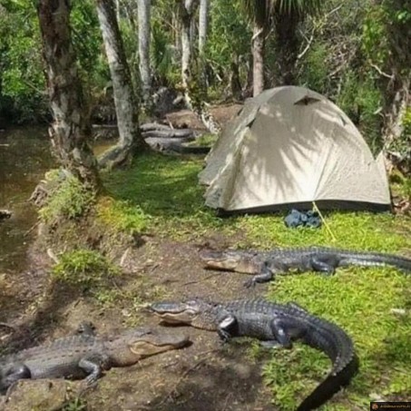 Camping très sauvage