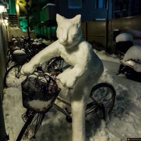 Chat de neige à vélo