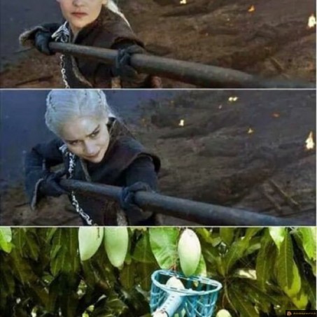 Daenerys à la cueillette
