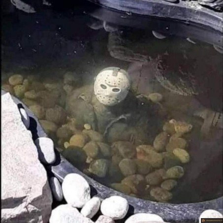 Jason dans l'étang