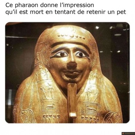La tête du pharaon