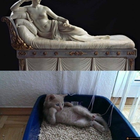 Le chat statue