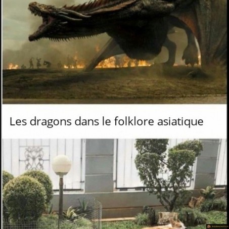 Les dragons en Europe et Asie