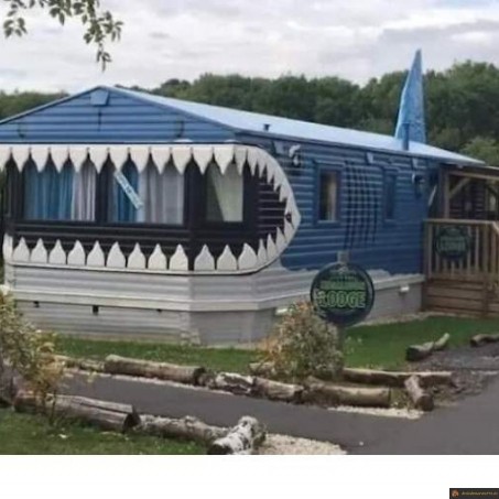 Maison requin
