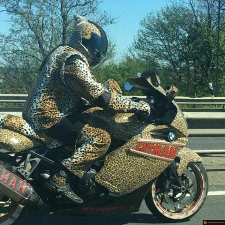 Moto BMW leopard