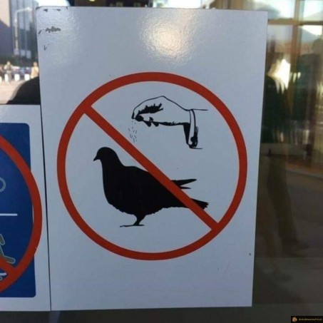 Ne pas saler les pigeons?