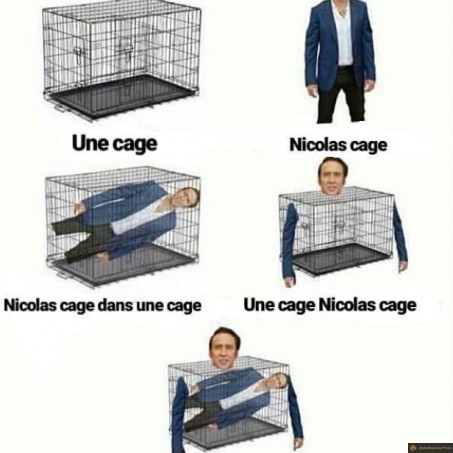 Nicolas cage cage cage
