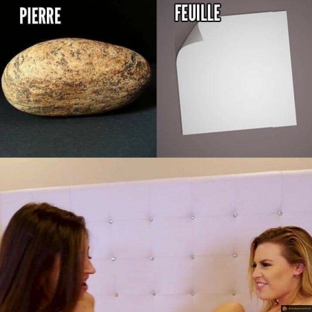 Pierre feuille ....