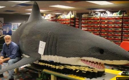 Requin en lego